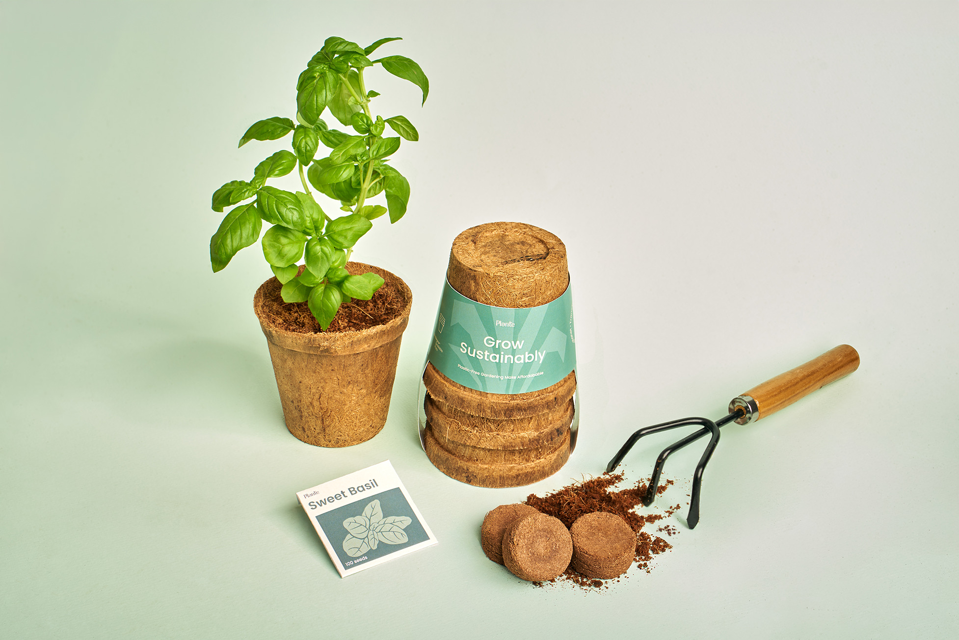 Sweet Basil