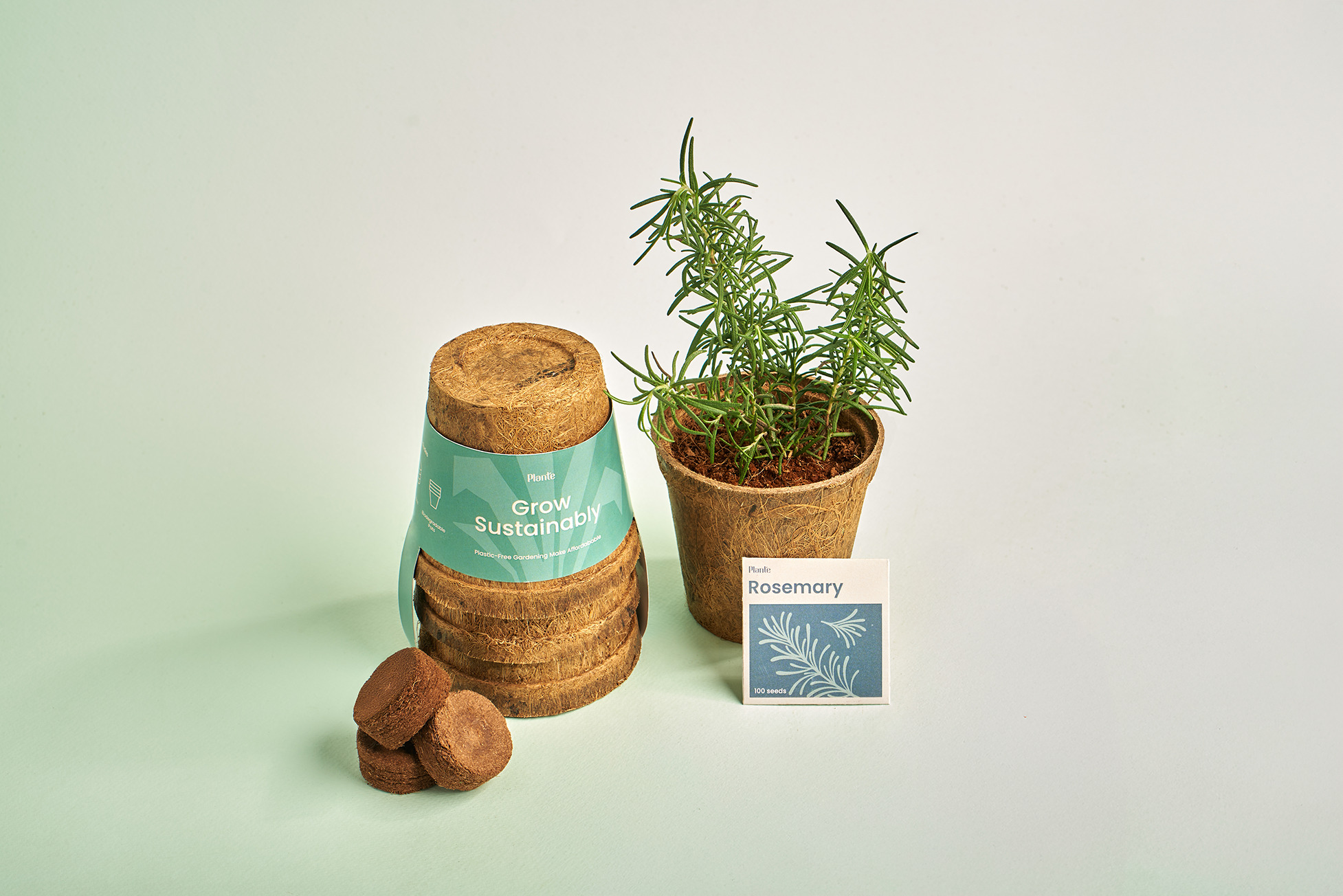 Rosemary
