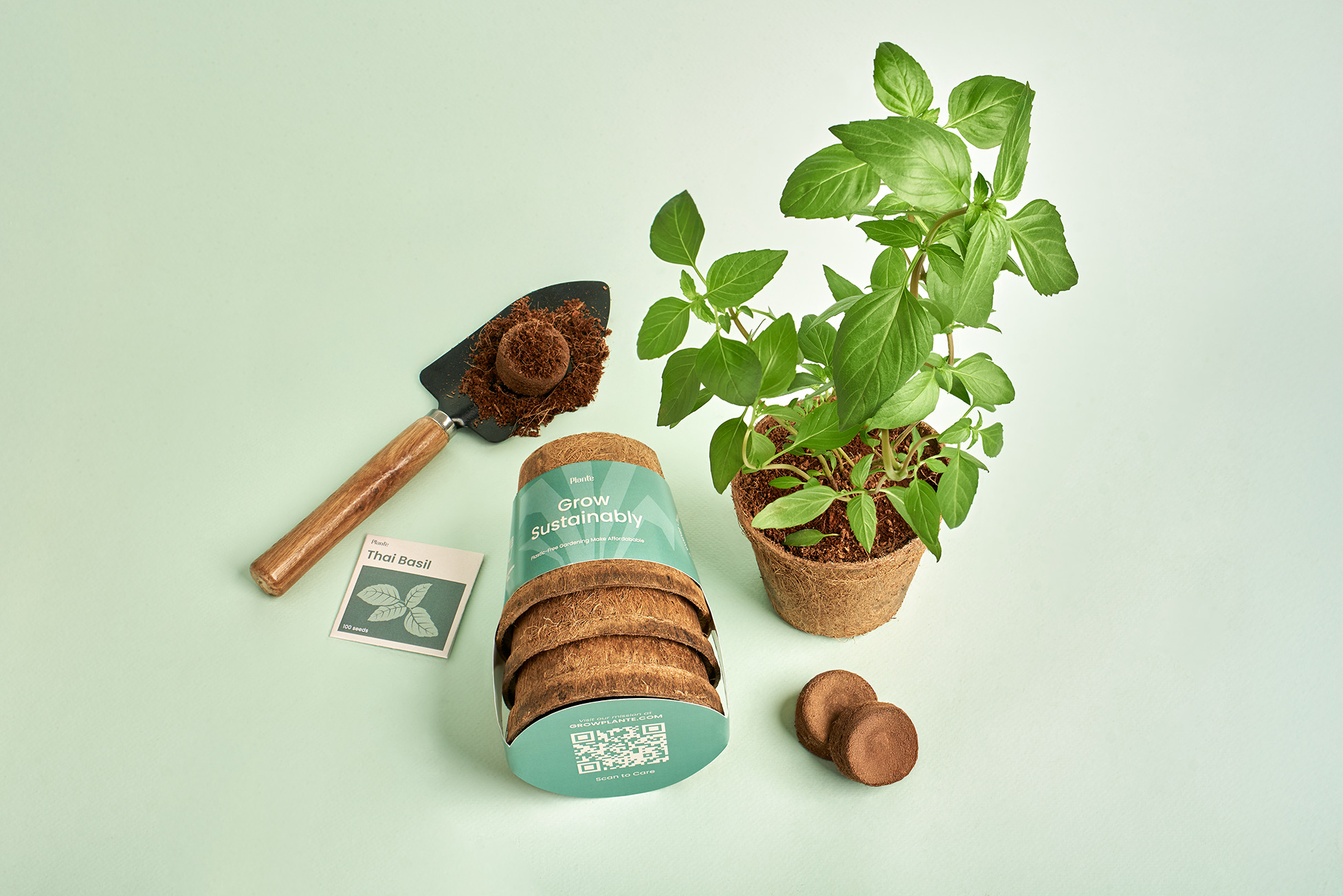 Thai Basil