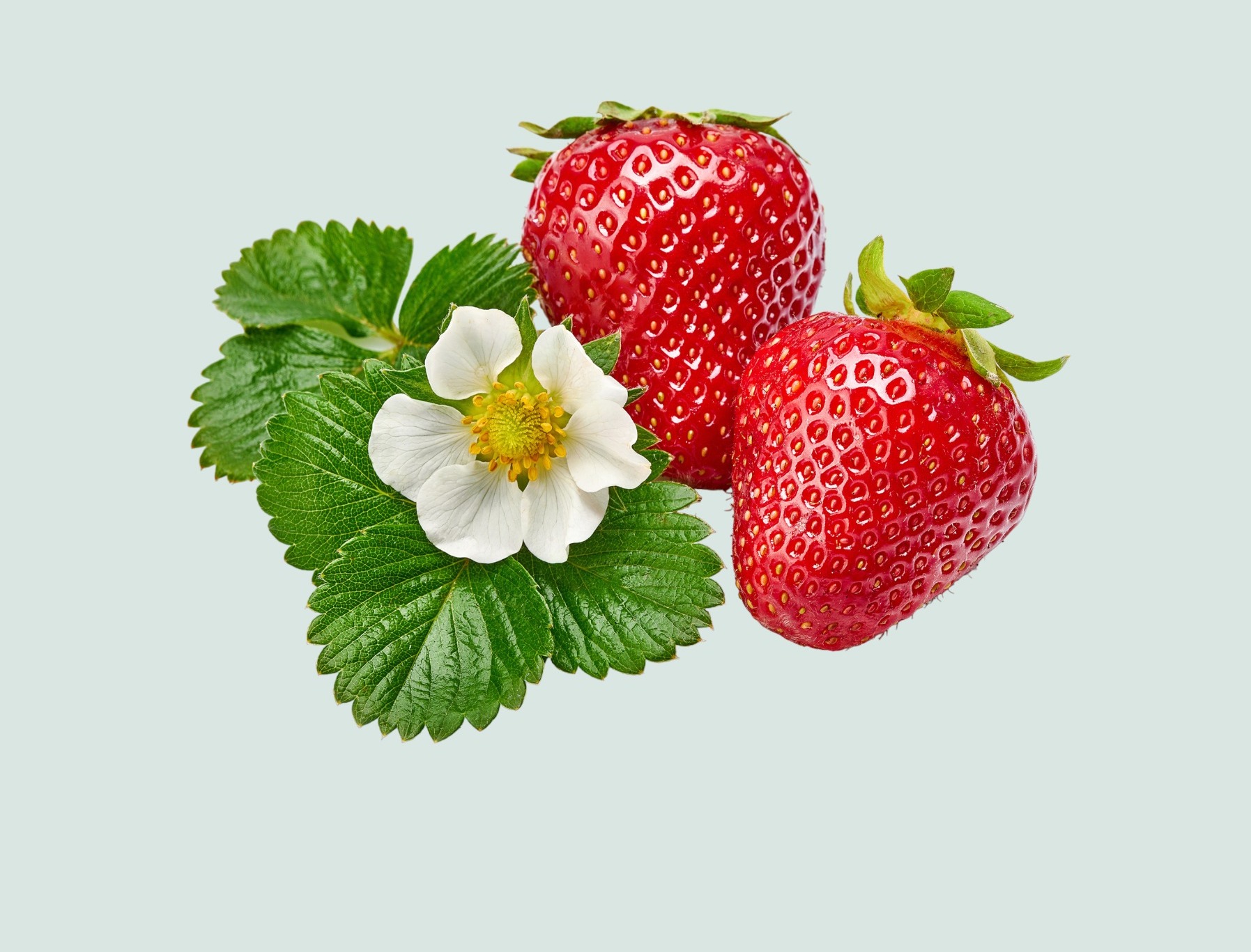 Strawberry